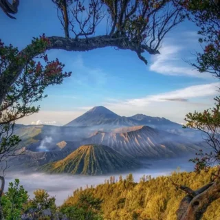 Scenic landscape of Mount Bromo and surrounding mountains framed by tree branches, with morning mist and blue sky.