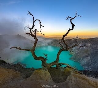 A breathtaking view of Mount Ijen crater lake with turquoise-colored water, framed by a dramatic dead tree at sunrise — a must-see highlight of the Mount Ijen tour in East Java, Indonesia.